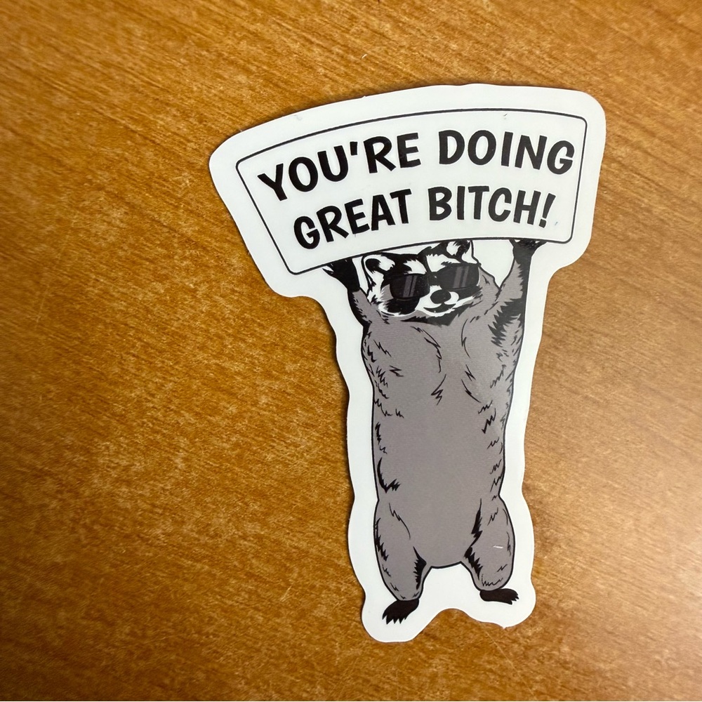 Motivational Raccoon Sticker‎